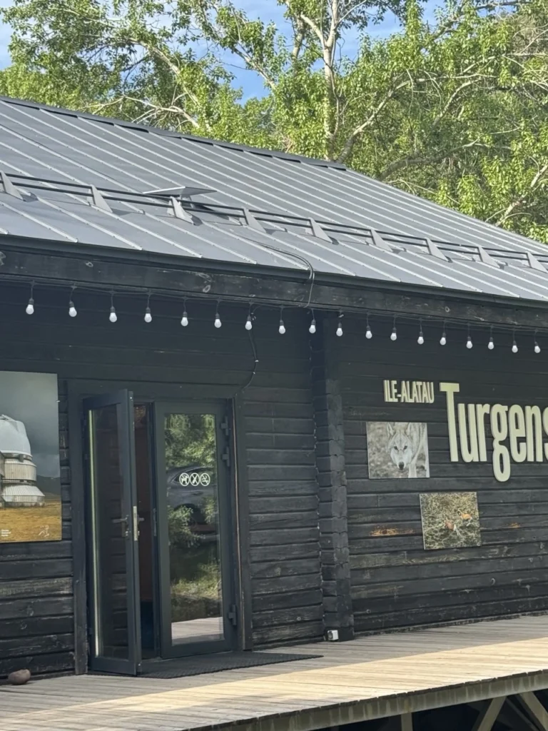 🏨 Подключение Starlink для HOTEL "TURGENSAY"